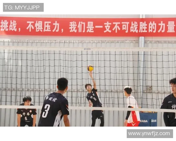 排球精神：深入解析北京排球队的团队协作与默契配合之道