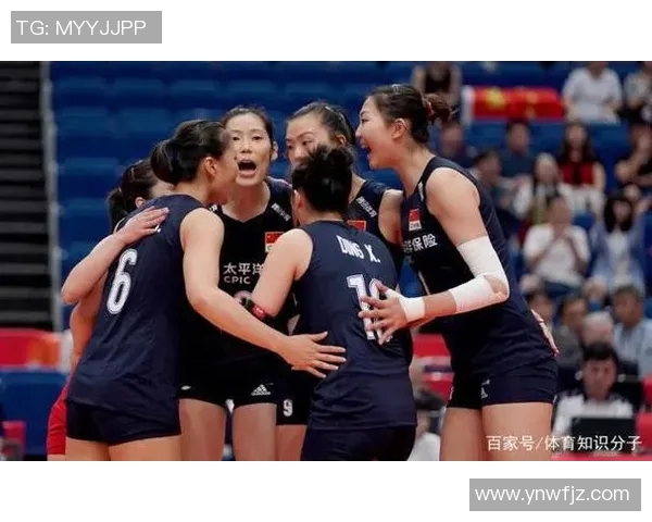 杭州排球队反击战术解析与未来发展展望