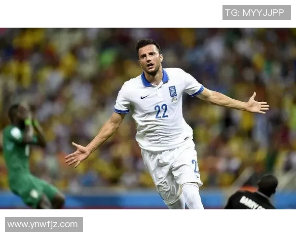 2014年法国足球明星的辉煌时刻与传奇故事回顾