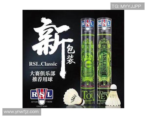 从零基础到高手之路羽毛球节奏与技巧全方位指南