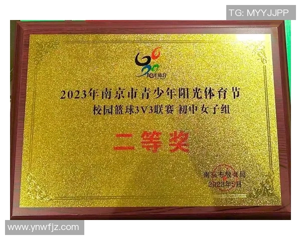 南京篮球队团队协作能力提升显著荣获全国篮球团队协作排名新高