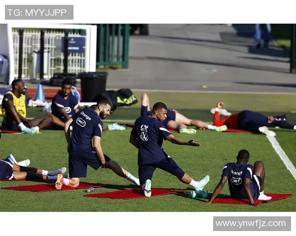 归化足球明星的崛起与影响：他们如何改变国家队的面貌与未来