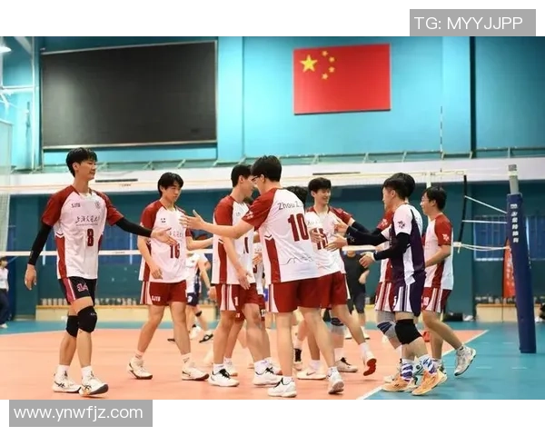排球实力排行榜揭晓上海排球队荣登第五名展现强劲实力
