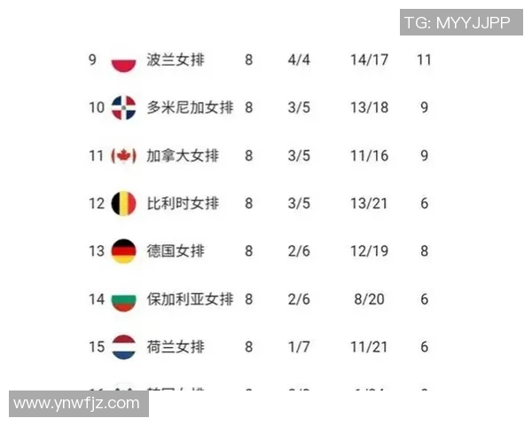 南京排球队技术表现分析与联赛前景展望