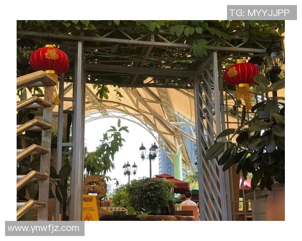 赛后分析：武汉篮球队与深圳篮球队的战术意识与执行力对比