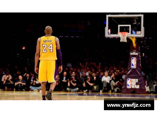 NBA福克斯：巅峰表现与传奇回顾